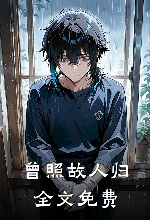 曾照故人归全文免费