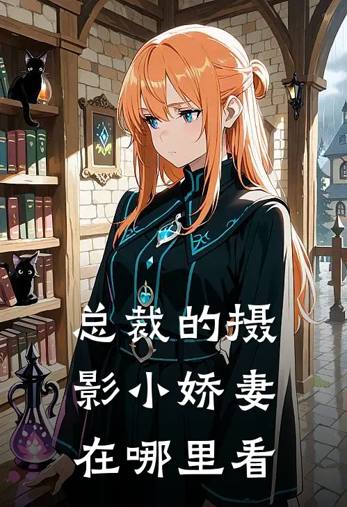 总裁的摄影小娇妻在哪里看